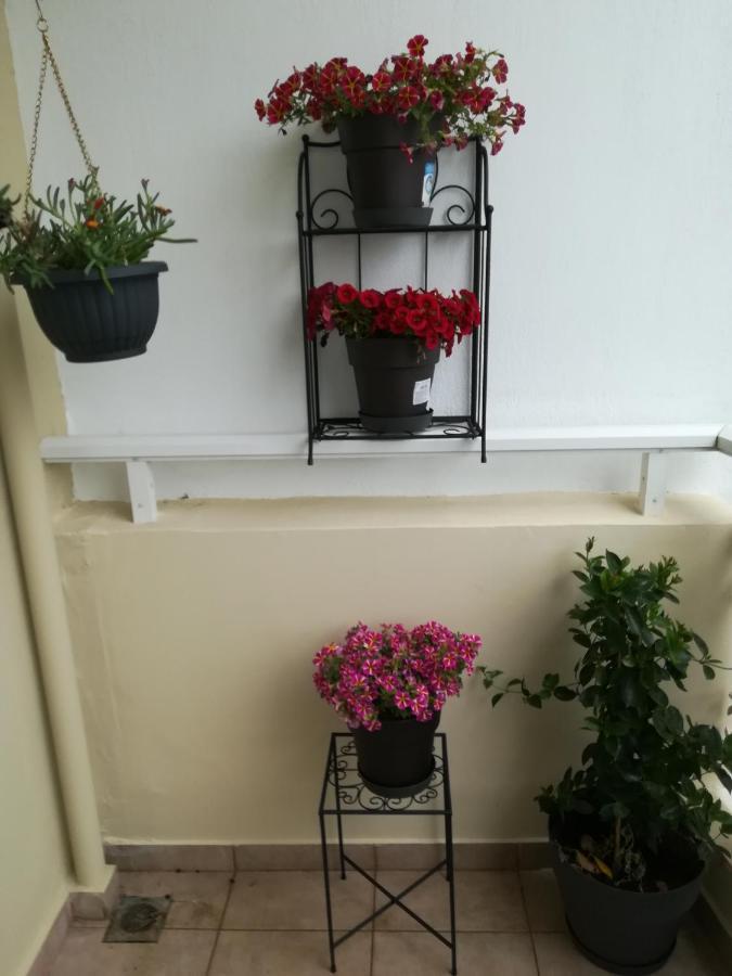 Apartment Ey Zhn Néa Khilí Exteriör bild